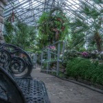 Random image: allan gardens mid-winter
