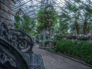 allan gardens mid-winter