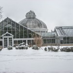 Random image: allan gardens mid-winter