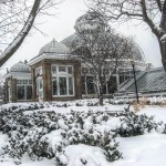 Random image: allan gardens mid-winter
