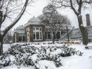 allan gardens mid-winter