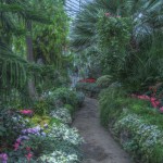 Random image: allan gardens mid-winter
