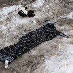 Random image: beneath the thaw