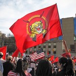 Random image: Tiger flag