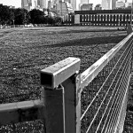 Random image: moss park compound