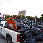 Random image: moss park heap
