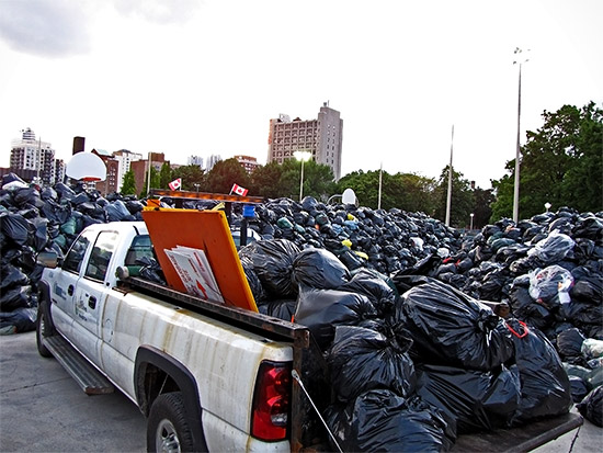 moss park heap