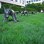 Random image: rabbit things