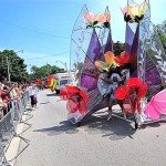 Random image: caribana