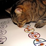 Random image: cat-ouija-2-1024