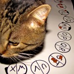 Random image: cat-ouija-3-1024