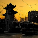 Random image: sweet and sour