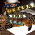 Random image: oliver-sees-all-1024