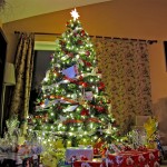 Random image: christmas-tree-1024