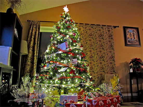 christmas tree, gifts, presents, living room, toronto, city, life
