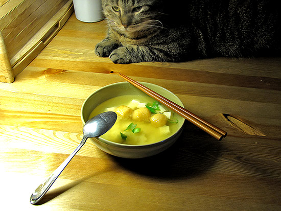 miso soup ingredients, green onions, fish balls, silken tofu, toronto, city, life