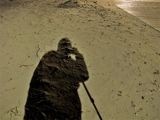 shadow, silhouette, sand, woodbine beach, toronto, city, life