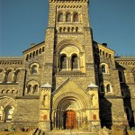 Random image: i love a good old erection in the afternoon sun