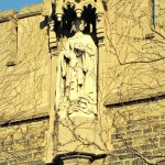 Random image: bearing striking resemblance to guan yin!