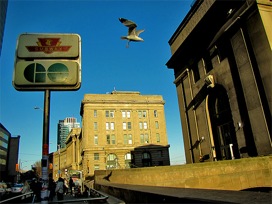 union station, go transit, toronto, transit commission, ttc, front street, toronto, city, life