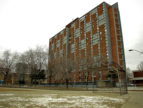 baseball field, diamond, nelson mandela public school, regent park south, public housing project, toronto, city. life