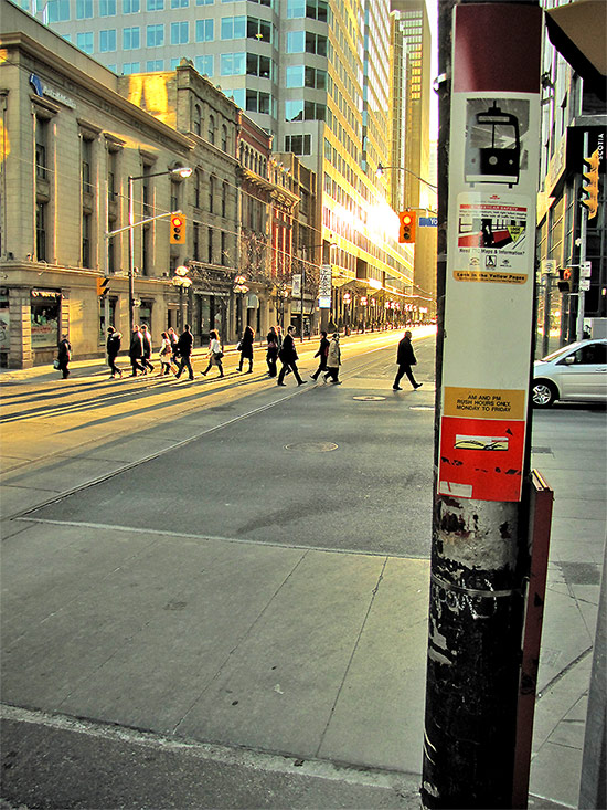 ttc, toronto transit commission, streetcar stop, yonge, wellington, streets, toronto, city, life