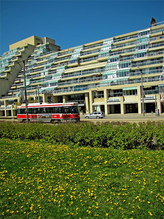 music garden, railing, path, docks, harbourfront, waterfront, queen's quay, toronto, city, life