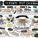 Random image: Toronto Pest Calendar