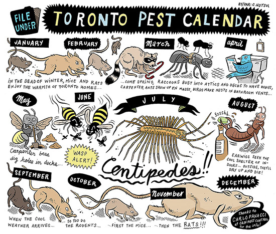 pest, calendar, toronto, hutsulville.com, chris hutsul, city, life