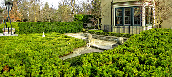 hedge sculptures, front yard, rosedale, toronto, city, life