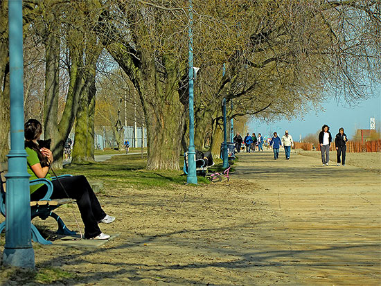 balmy beach, the beach, neighbourhood, neighborhood, district, queen street east, toronto, city, life