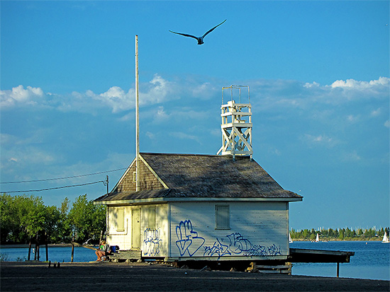 cherry beach, beach house, graffiti, seagull, toronto, city, life