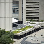 Random image: Ants on the Green Roof