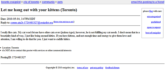 kittens, ad, craigslist, toronto, city, life