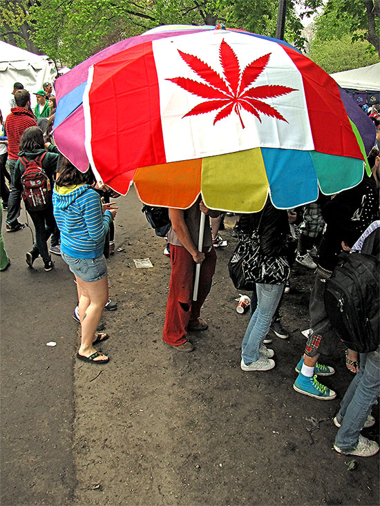 global marijuana march, freedom festival, queen's park, toronto, city, life