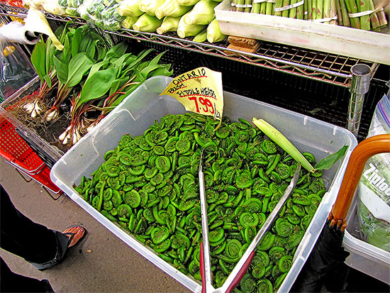 fiddleheads, ferns, vegetables, st. lawrence market, toronto, city, life