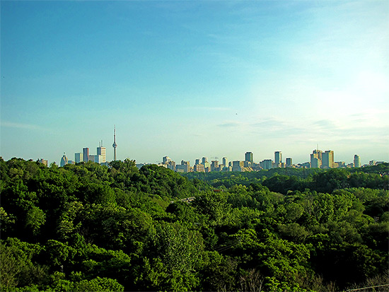 skyline, panorama, don valley parkway, dvp, toronto, city, life