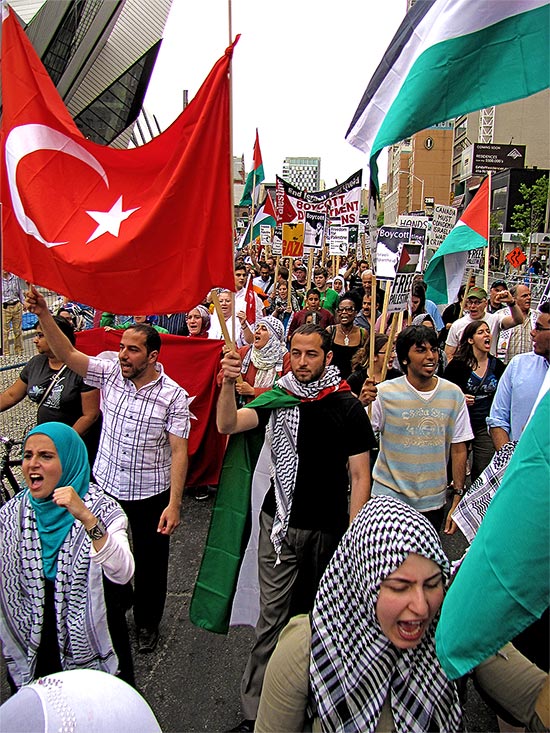 palestinian, israeli, protest, demonstration, march, rally, toronto, city, life