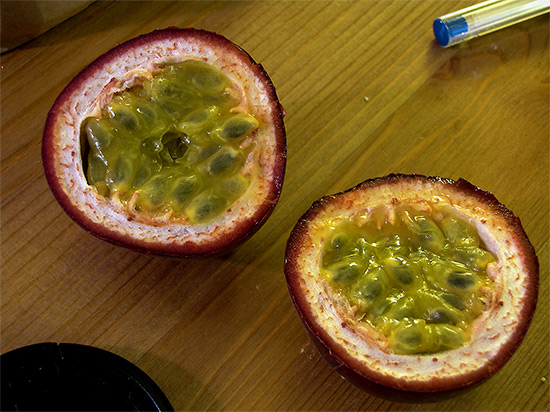 passion fruit, toronto, city, life