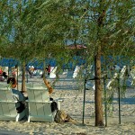 Random image: sugar-beach-1-1024