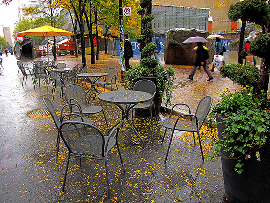 gould street, fall, autumn, tables, ryerson university, toronto, city, life