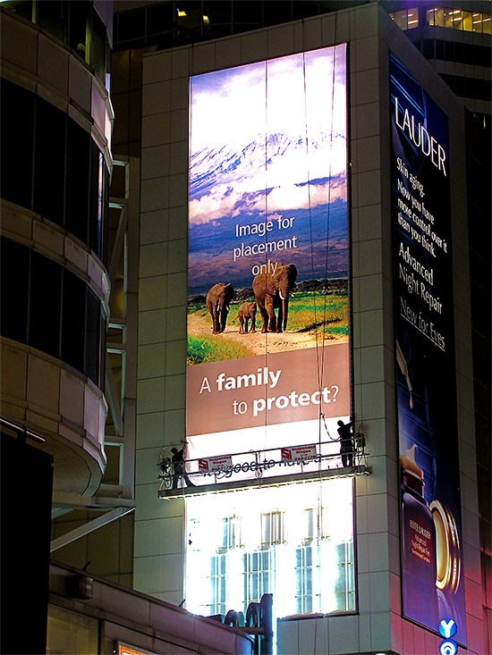 banner, advertising, advertisement, eaton centre, toronto, city, life