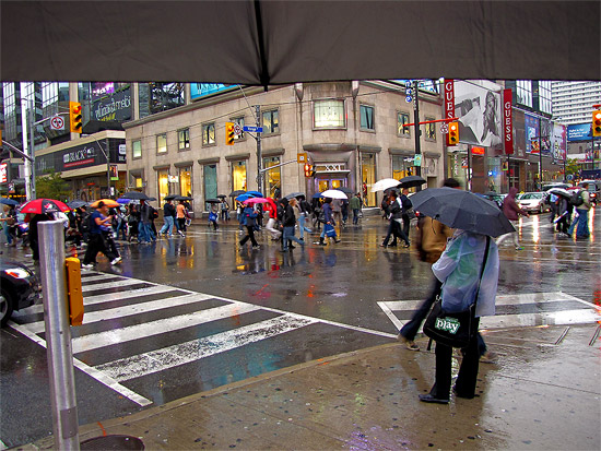 rain, umbrella, yonge, dundas, streets, intersection, autumn, fall, toronto, city, life