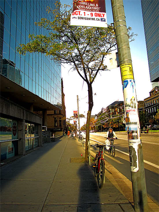 college street west, autumn, sunset, toronto, city, life