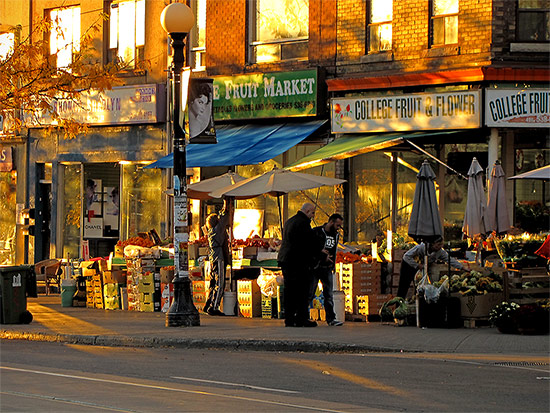 college street west, little italy, autumn, sunset, toronto, city, life