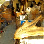 Random image: taxidermist-1-1024