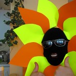Random image: sunflower-1024