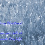 Random image: merry-christmas-1024