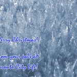 Random image: merry christmas!