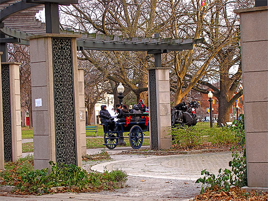 park buggy, allan gardens, horsedrawn carriage, toronto, city, life